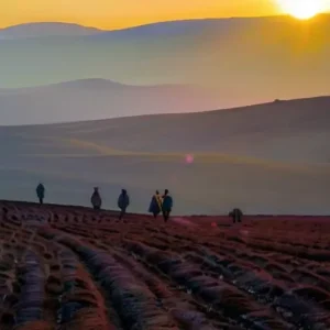 Что помогает обнаруживать новые стороны знакомых явлений