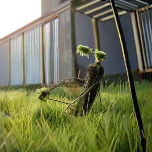 Что помогает справляться с обидой экологичнее