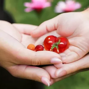 Почему благодарность делает общение мягче